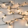 Kerstverlichting - 50 lampjes - 6.92 meter