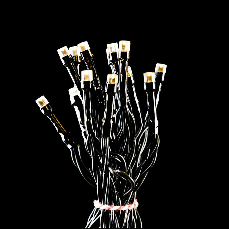Led verlichting - 10 lampjes - 100 cm