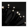 Verlichting LED - 20 lampjes - 200 cm