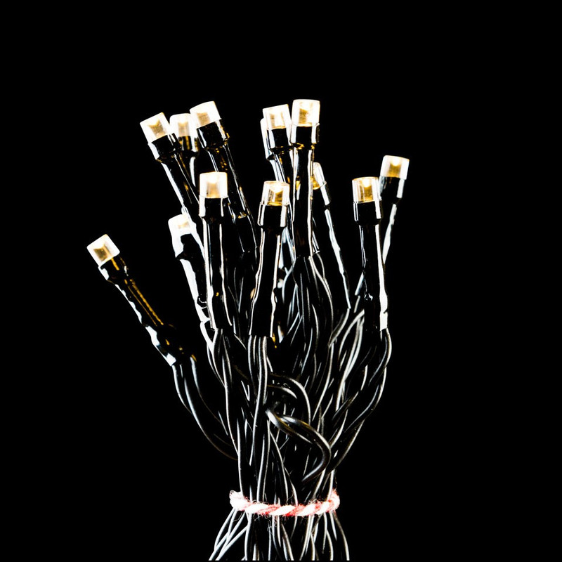 Verlichting LED - 50 lampjes - 300 cm 