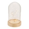 Verlichting in stolp - 23x13.5 cm
