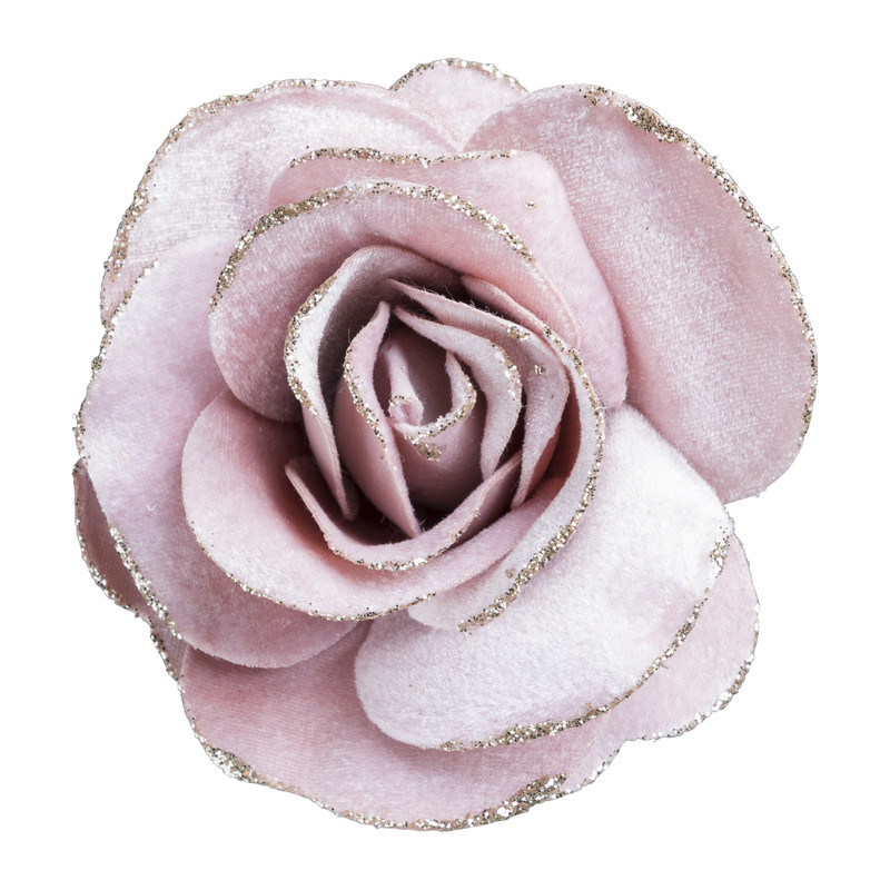 Roos op clip - roze