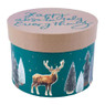 Cadeaudoos medium - groen - 20,5 cm