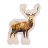 Cadeaustickers - 12 stuks