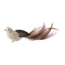 Vogel op clip - creme