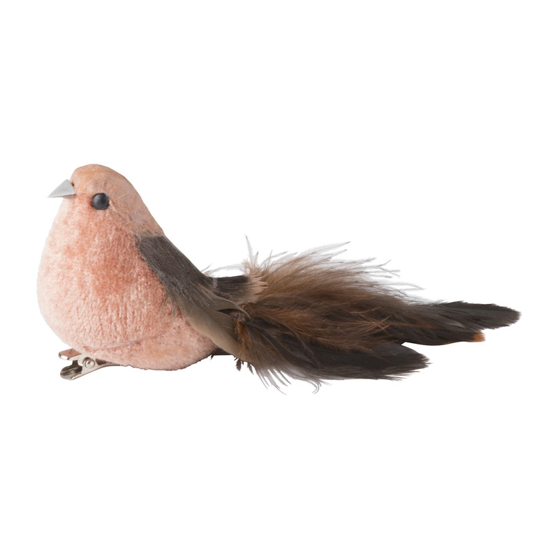 Vogel op clip - bruin