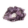 Kerstclip bloem - lila - 13x13 cm