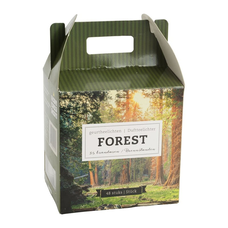 Geurtheelichten forest