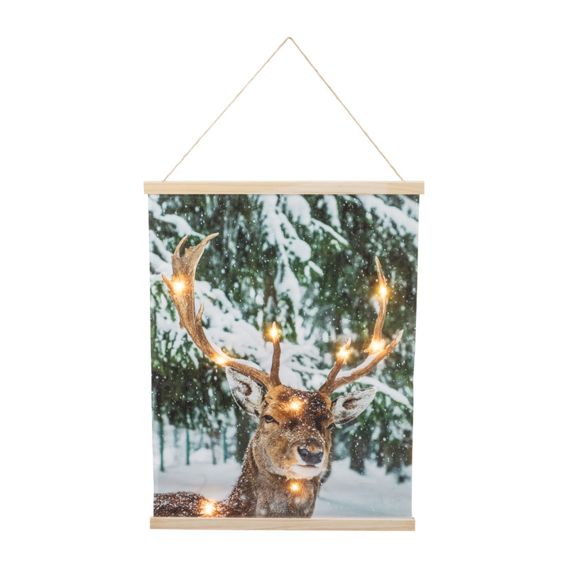 Poster met licht - rendier - 45x60 cm
