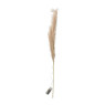 Pluimen met lampjes - diverse varianten - 100 cm