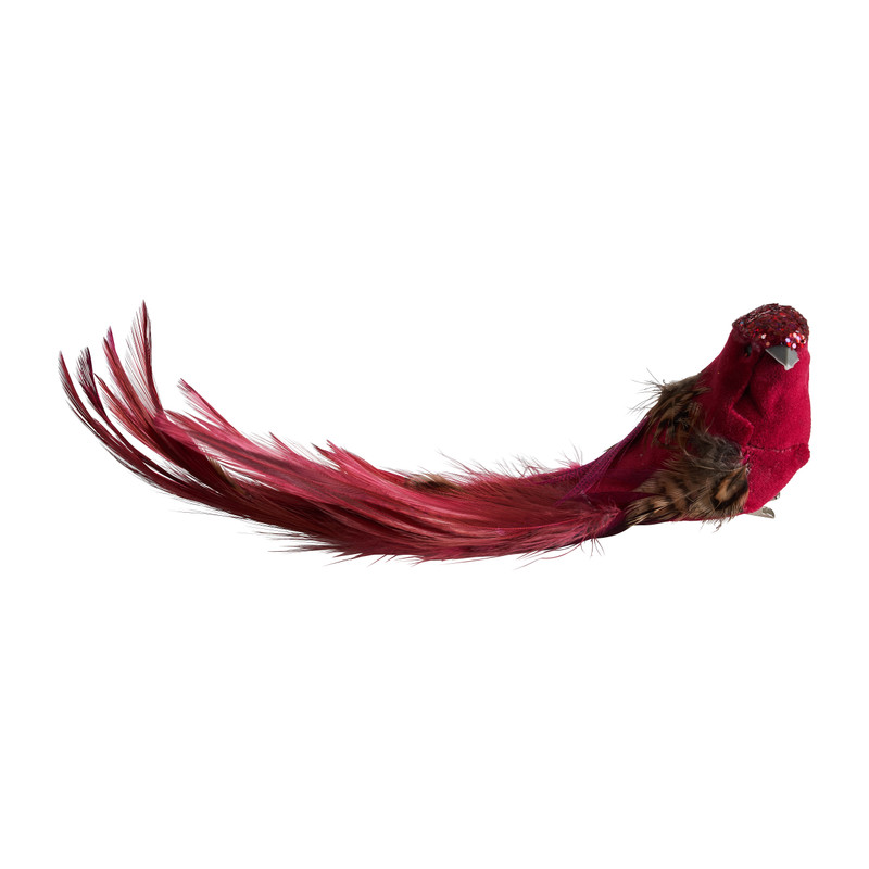 Vogel op clip - rood