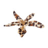 Bloem op clip leopard - 25 cm