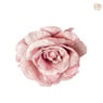 Roos op clip - diverse varianten - 14 cm