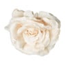Roos op clip - diverse varianten - 14 cm