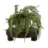 Houten plateau kerst - bruin - ø28x8 cm