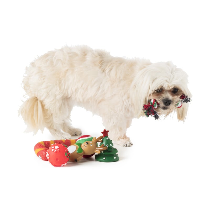 Hondenspeelgoed - kerst - set van 6