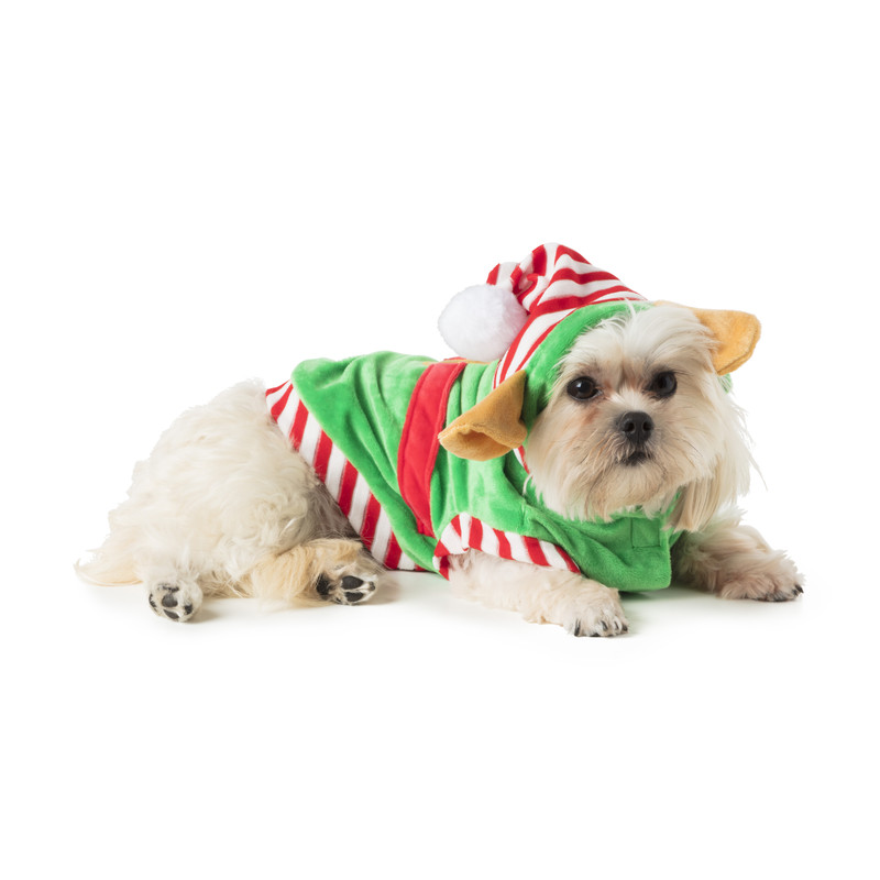 Kerst outfit voor dieren - elf