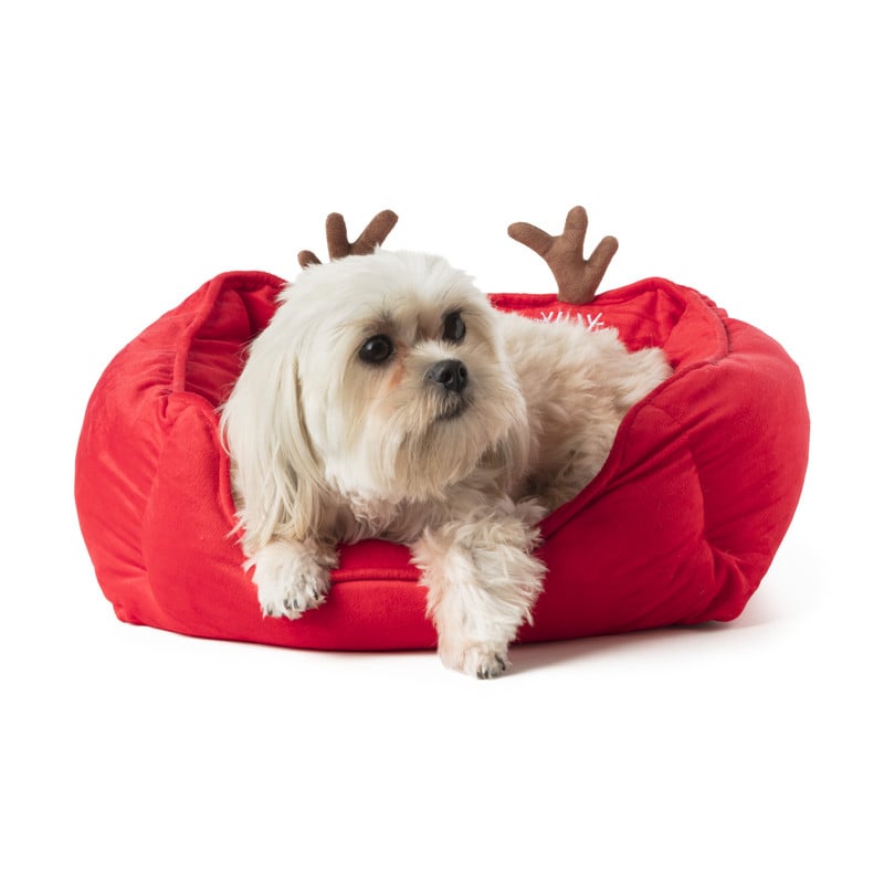 Hondenmand - kerst - rood