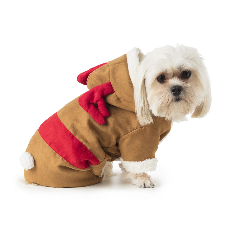 Kerst outfit voor dieren - rendier