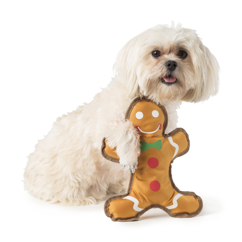 Hondenspeelgoed - gingerbread