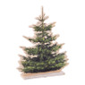 Kerstboom hout print  26x21x5 - M