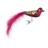 Kerstclip vogel - diverse varianten - 15x4x5 cm 