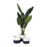 Mand colors hoog - diverse varianten - ø24x19 cm