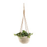 Hangbloempot aan touw - ø25 cm