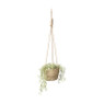 Bloempot aan touw - naturel 
