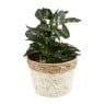 Rieten bloempot - wit - ⌀19x14 cm 