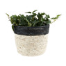 Rieten bloempot - zwart - ⌀22x17 cm 