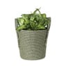 Mand Lotte - ø22x23 cm - groen