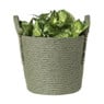 Mand Lotte - ø25x28 cm - groen