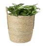 Mand Basix rond - ø34x35 cm - naturel