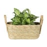 Mand Basix rechthoek - 13x30x23 cm - naturel