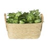 Mand Basix rechthoek - 16x35x25 cm - naturel