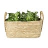 Mand Basix rechthoek - 18x40x30 cm - naturel