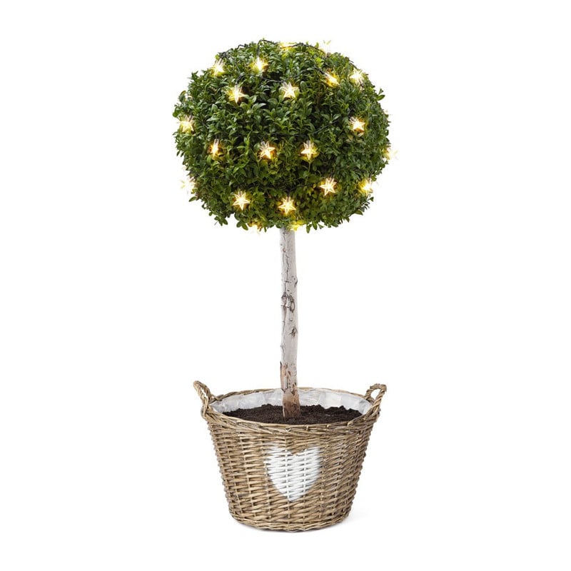 Rieten mand - 43x38 cm