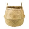 Buikmand zeegras - 35 cm doorsnede