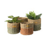 Mand Pleun - ø21x23 cm - bruin/groen