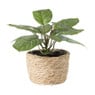Bloempot Aaron - ø15x11 cm