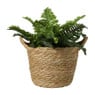 Mand rond S - bruin - ø20x24 cm