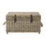 Opbergkist rotan - bruin - 45x80x55 cm