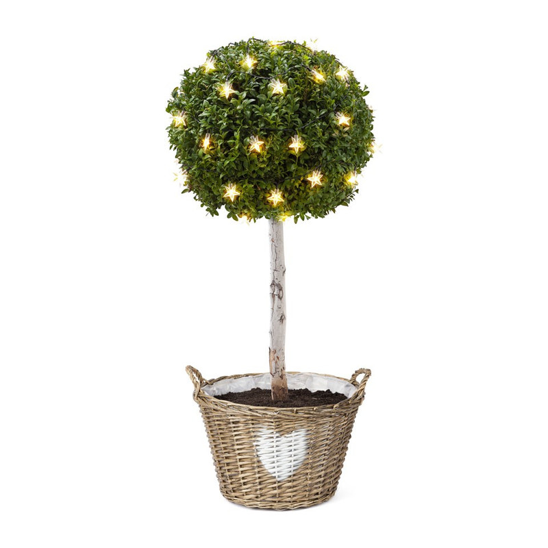 Solar tuinguirlande - 35 leds - ster