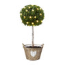 Solar tuinguirlande - 35 leds - ster