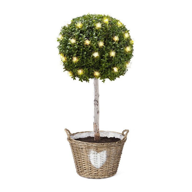 Solar tuinguirlande - 35 leds - vlinder