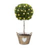Solar tuinguirlande - 35 leds - vlinder