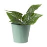 Bloempot patroon maat S - ø12x13 cm - groen
