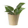 Bloempot patroon maat S - ø12x13 cm - beige