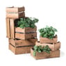 Plantenkistje vierkant - 37.5x37.5x24 cm